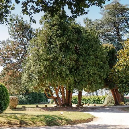 Otel Chateau Du Clair De Lune - Boutique Luxury 4*