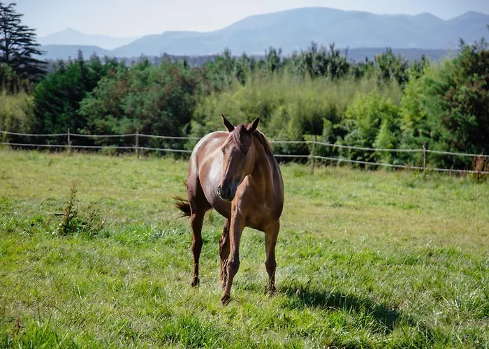 Chateau Du Clair De Lune - Boutique Luxury 4*