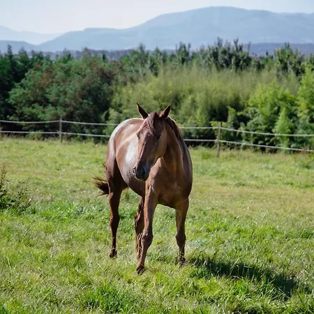 Chateau Du Clair De Lune - Boutique Luxury 4*