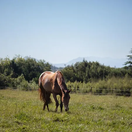 Chateau Du Clair De Lune - Boutique Luxury 4* Biarritz