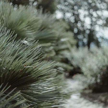 Hotel Chateau Du Clair De Lune - Boutique Luxury