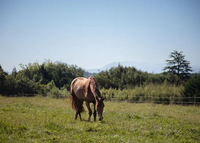 Chateau Du Clair De Lune - Boutique Luxury 4* ビアリッツ