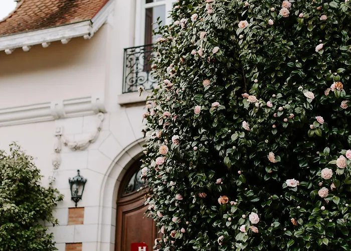 Chateau Du Clair De Lune - Boutique Luxury ホテル ビアリッツ