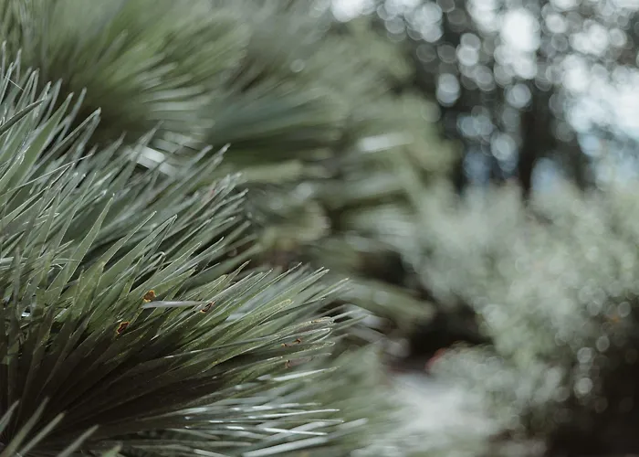 ホテル Chateau Du Clair De Lune - Boutique Luxury